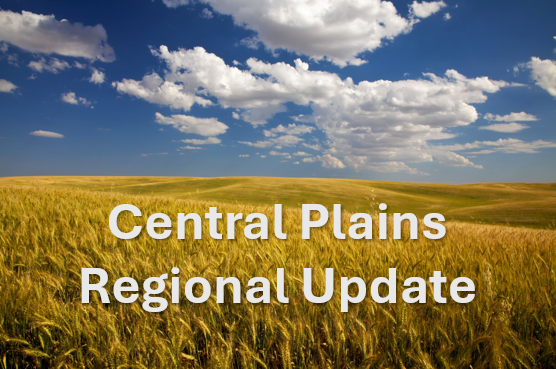 centralplains regional update